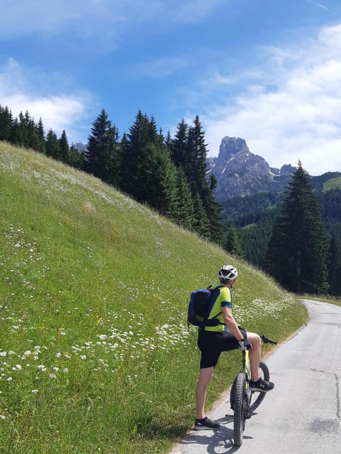 Appartement Freiraum Sankt Martin am Tennengebirge Luaran gambar