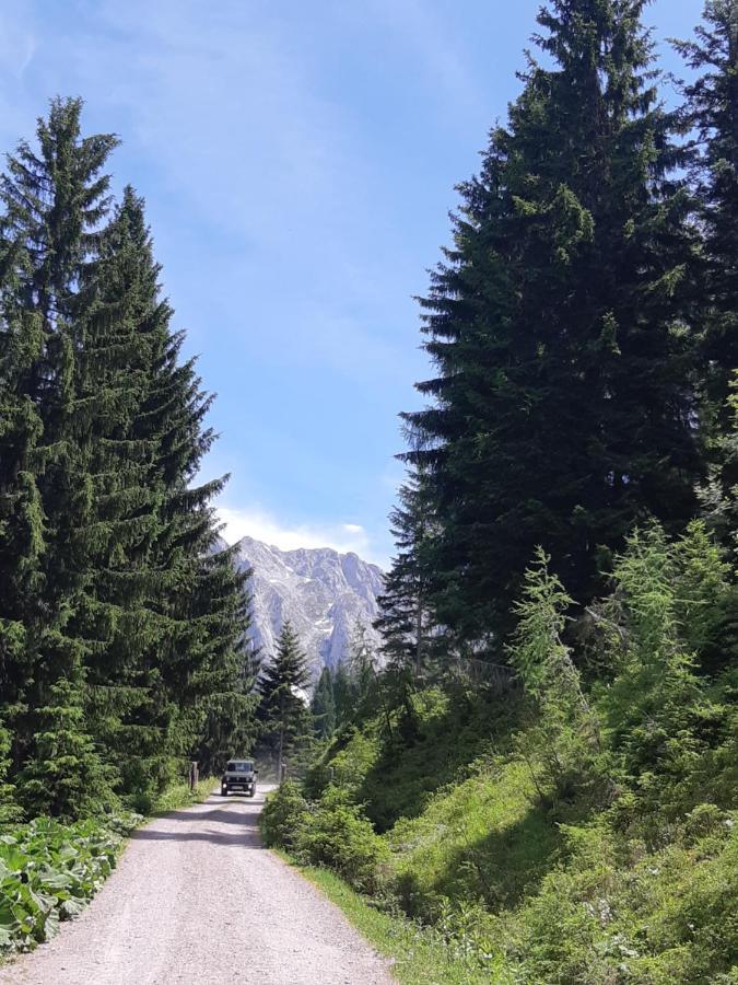 Appartement Freiraum Sankt Martin am Tennengebirge Luaran gambar