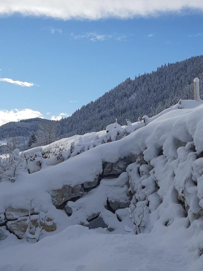 Appartement Freiraum Sankt Martin am Tennengebirge Luaran gambar