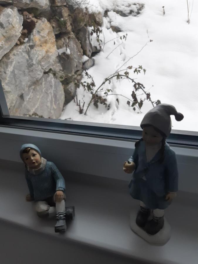 Appartement Freiraum Sankt Martin am Tennengebirge Luaran gambar