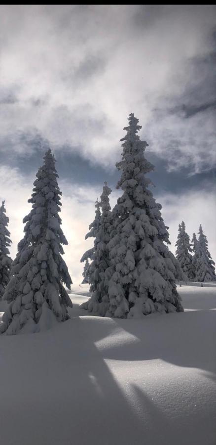 Appartement Freiraum Sankt Martin am Tennengebirge Luaran gambar