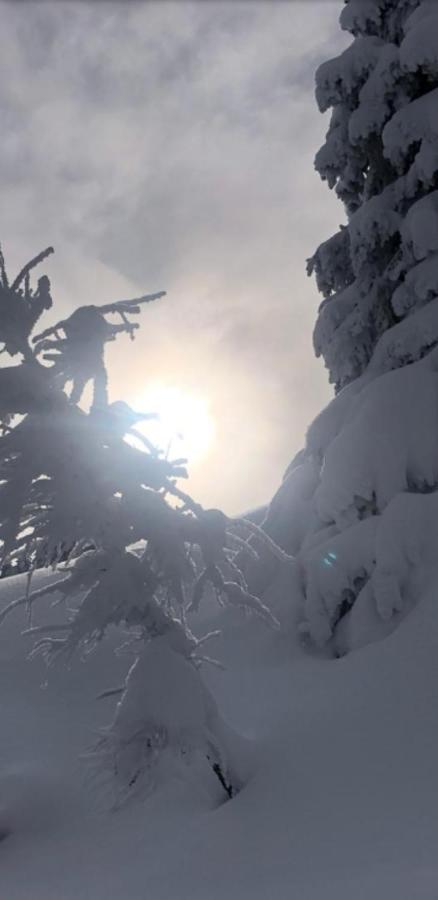 Appartement Freiraum Sankt Martin am Tennengebirge Luaran gambar